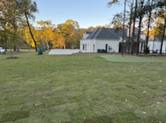 image (1)